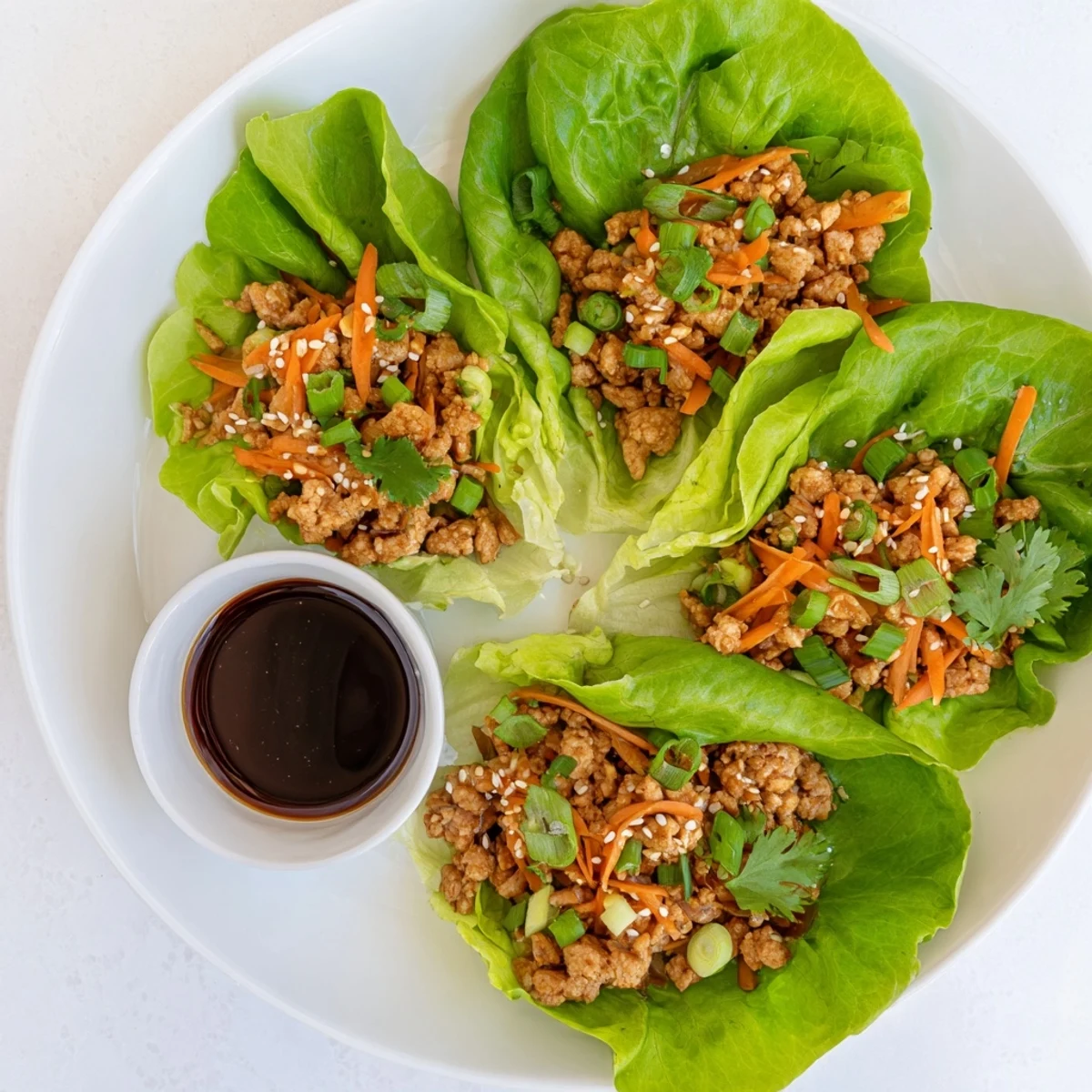 Low carb Potsticker Chicken Lettuce Boats served warm in romaine leaves with sesame seeds and a drizzle of soy-ginger sauce.